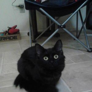 Meet your Posher, Anita